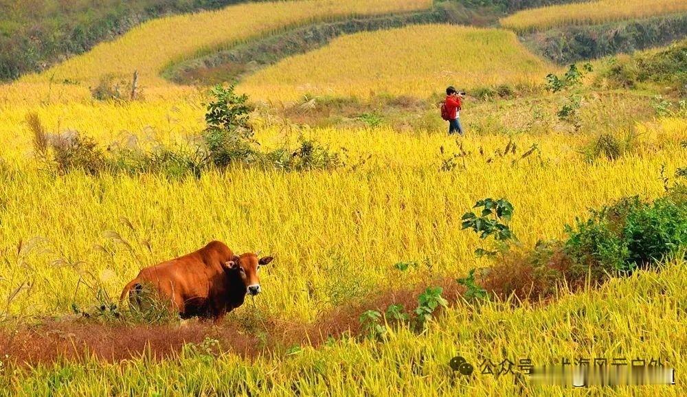 出发奉化大雷山，听说这里的梯田很美！不知道我们能不能看见！但愿不是被照片给骗来的