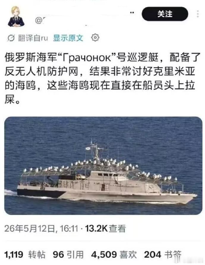 其实这也不错，一只只海鸥和舱门一样大[翻白眼]……

这要是在网下铺张塑料膜，回