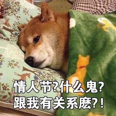 七夕跨界玩出花来了 最新七夕致富密码：带着麻袋去高端商场蹲点！鲜花放久了会蔫，但