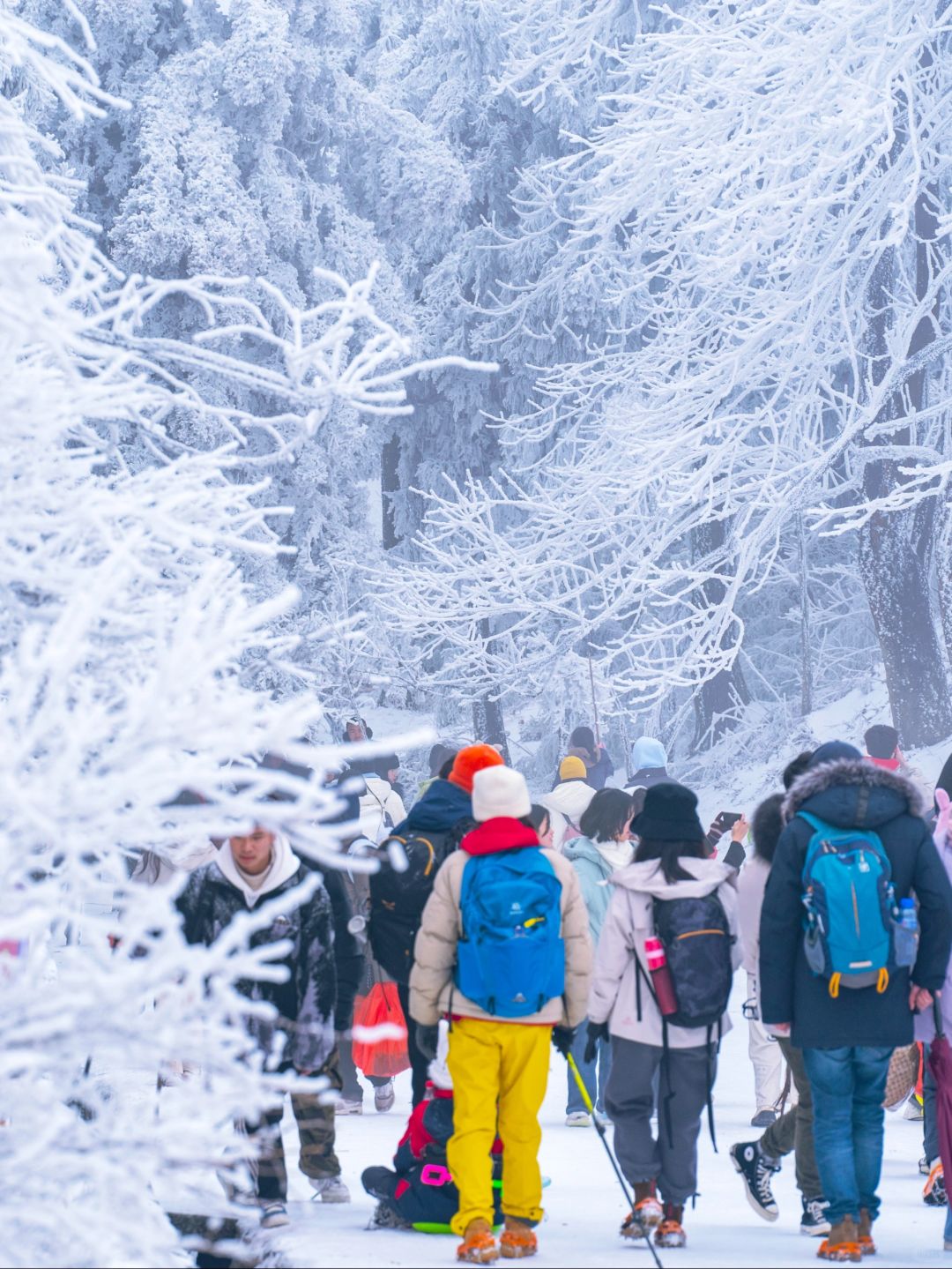 周末下雪｜2h直达南国雪乡❄️南岳衡山