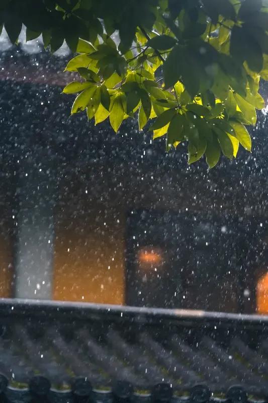 道路在雨中舒展，宛如一条湿漉的丝带。雨滴跳跃着，敲打出美妙的音符。路灯昏黄的光，