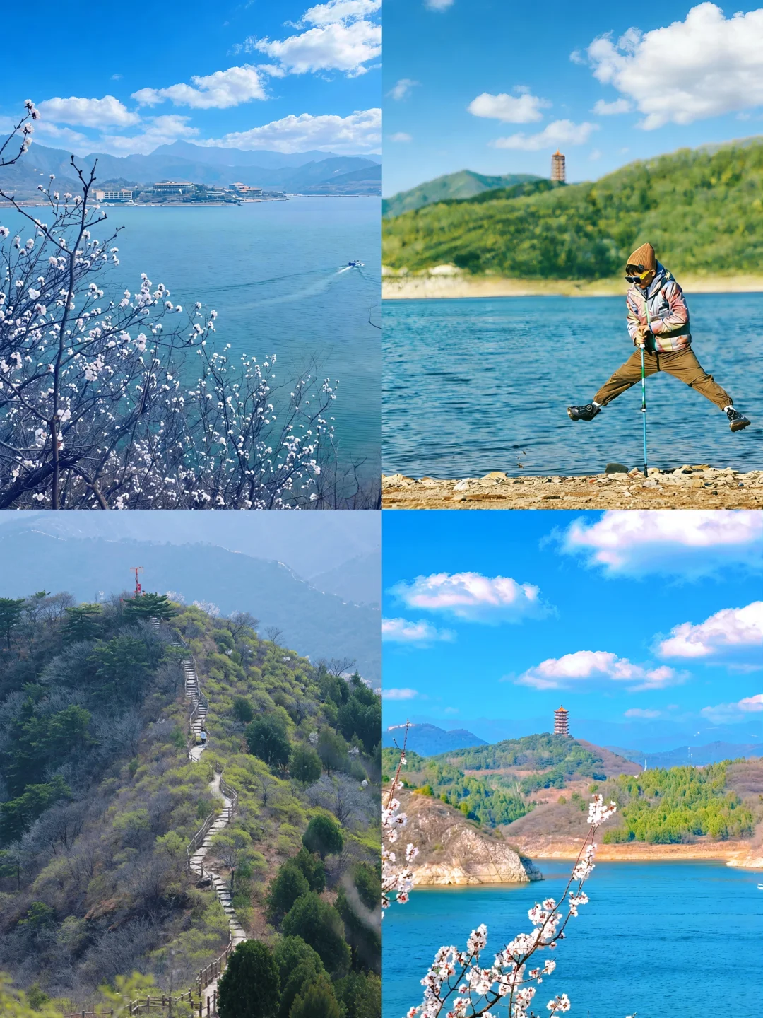 金海湖栈道春日🌿徒步治愈图鉴