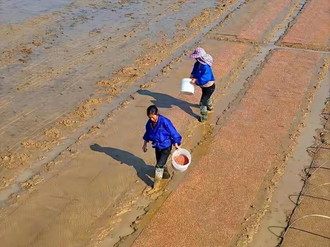 定了？代表提议：分三年三步走，70岁以上农民养老金涨到500元
一碗面都舍不得吃