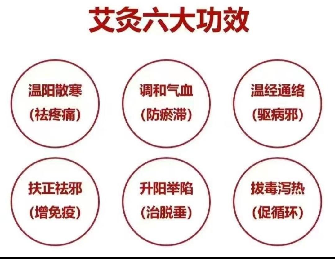 三伏天艾灸的好处有什么。艾灸可以改善什么