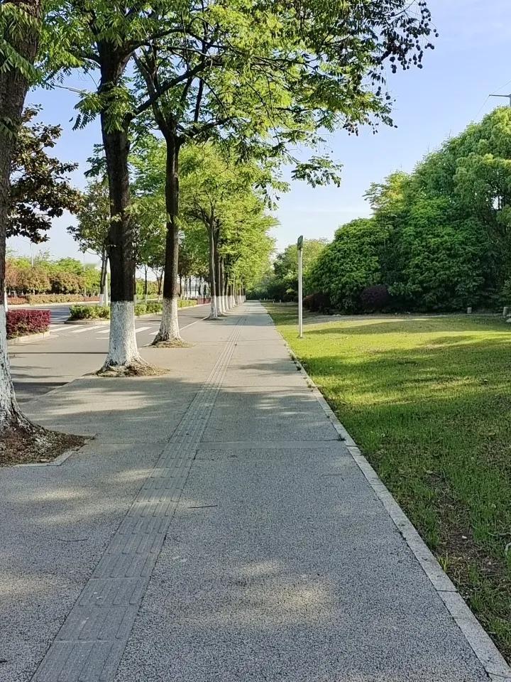 今天是五一节。但是锻炼还是出门锻炼。沿着平常的路边继续徒步走路，今天和往天可真不