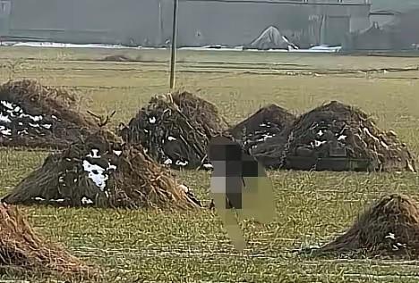 农村土葬要变样，

不留坟头能接受吗，

以后祭拜去哪看？

最近网上都在说3月