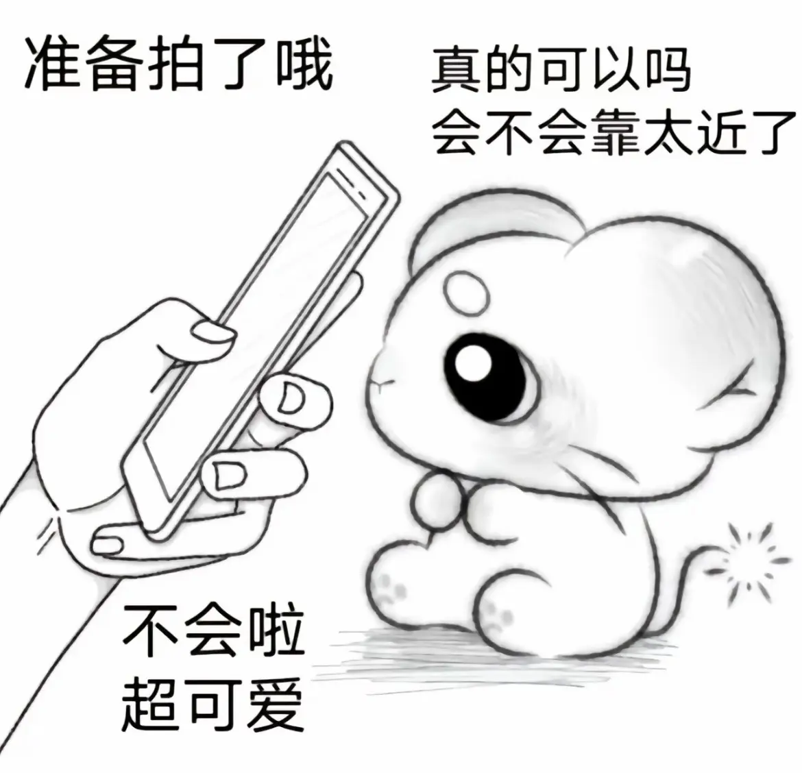 会不会太近了呀？