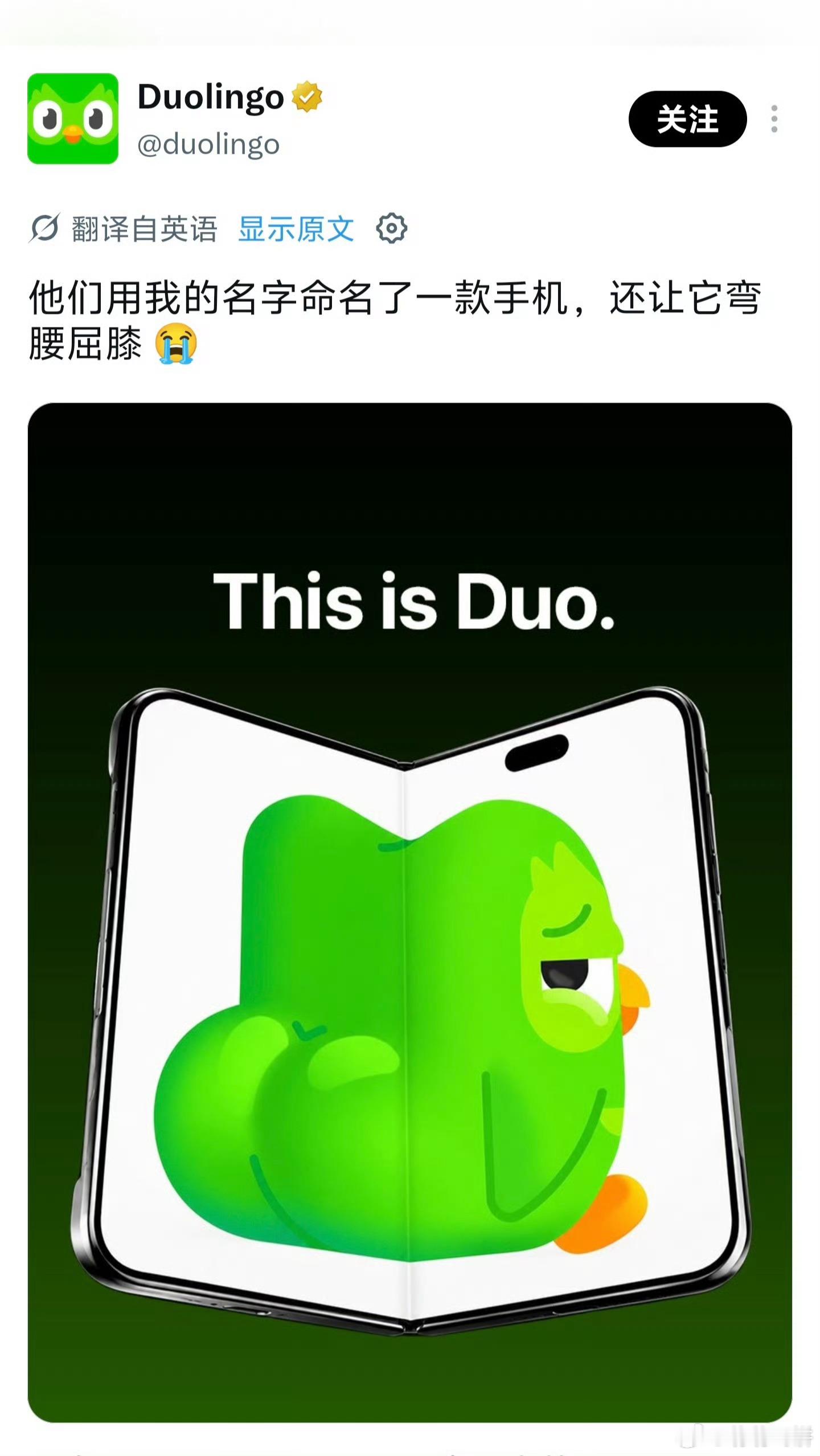多邻国开撕iPhone Duo，说实话有点莫名其妙，小绿鸟怎么到处飞。 ​​​