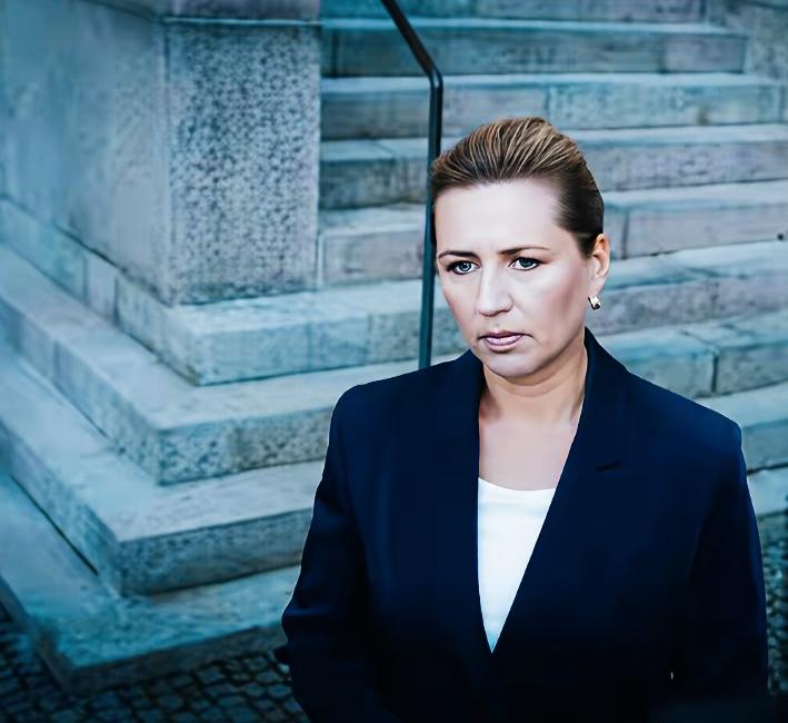 丹麦首相弗雷泽里克森是不是在思考格陵兰岛问题啊？
弗雷泽里克森眼神看上去是不是都