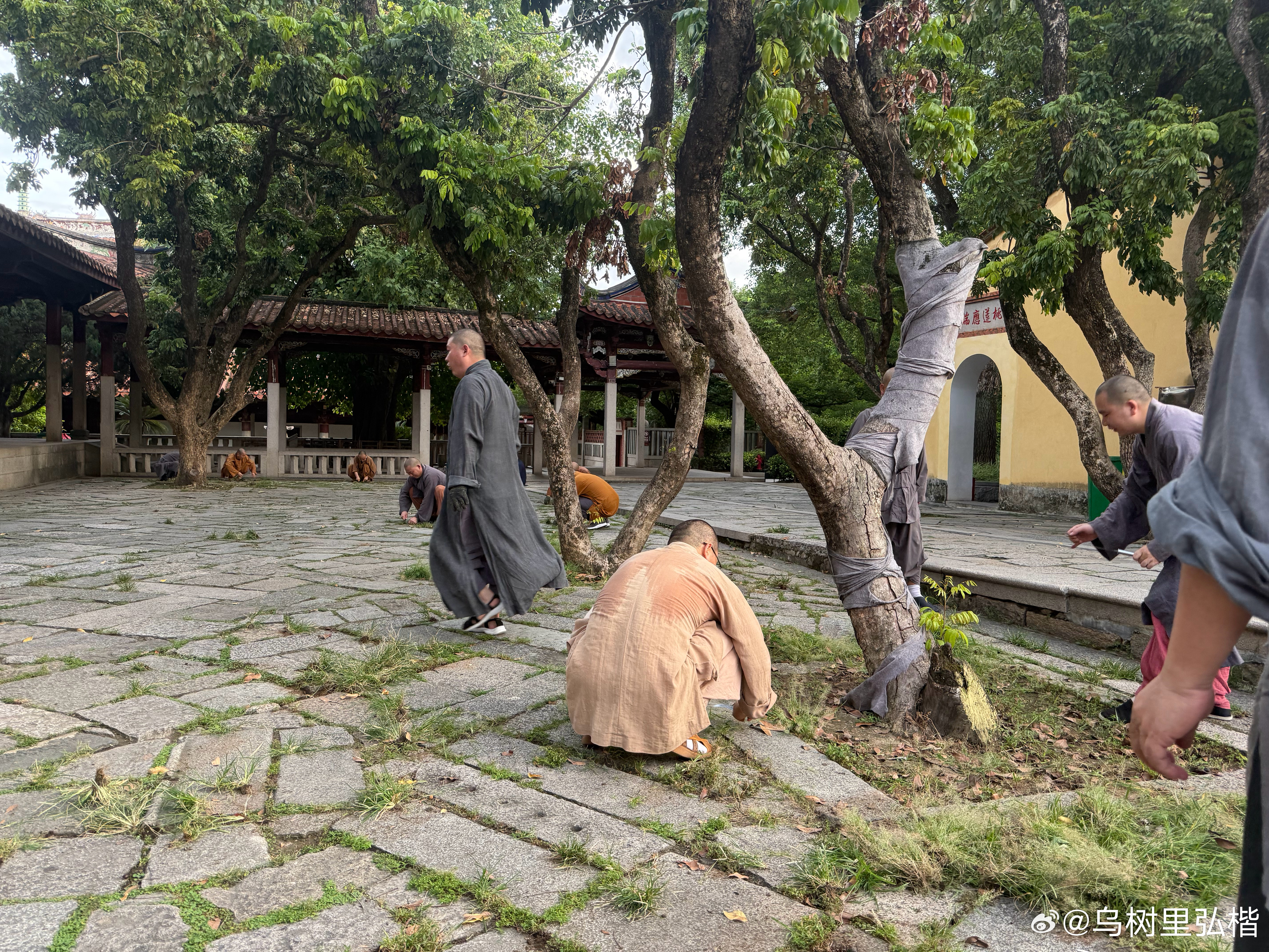 来人间，行一场路，很多时候，我们总习惯攥紧满心执念，对过往耿耿于怀，对缺憾步步紧
