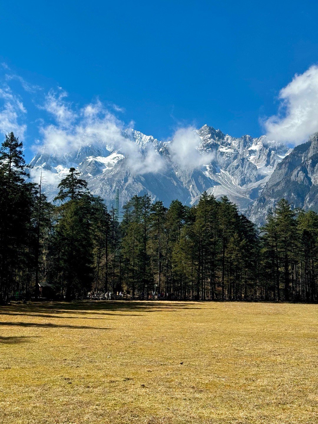📍丽江云杉坪🪴散步美学，体验森林秘境🌲 