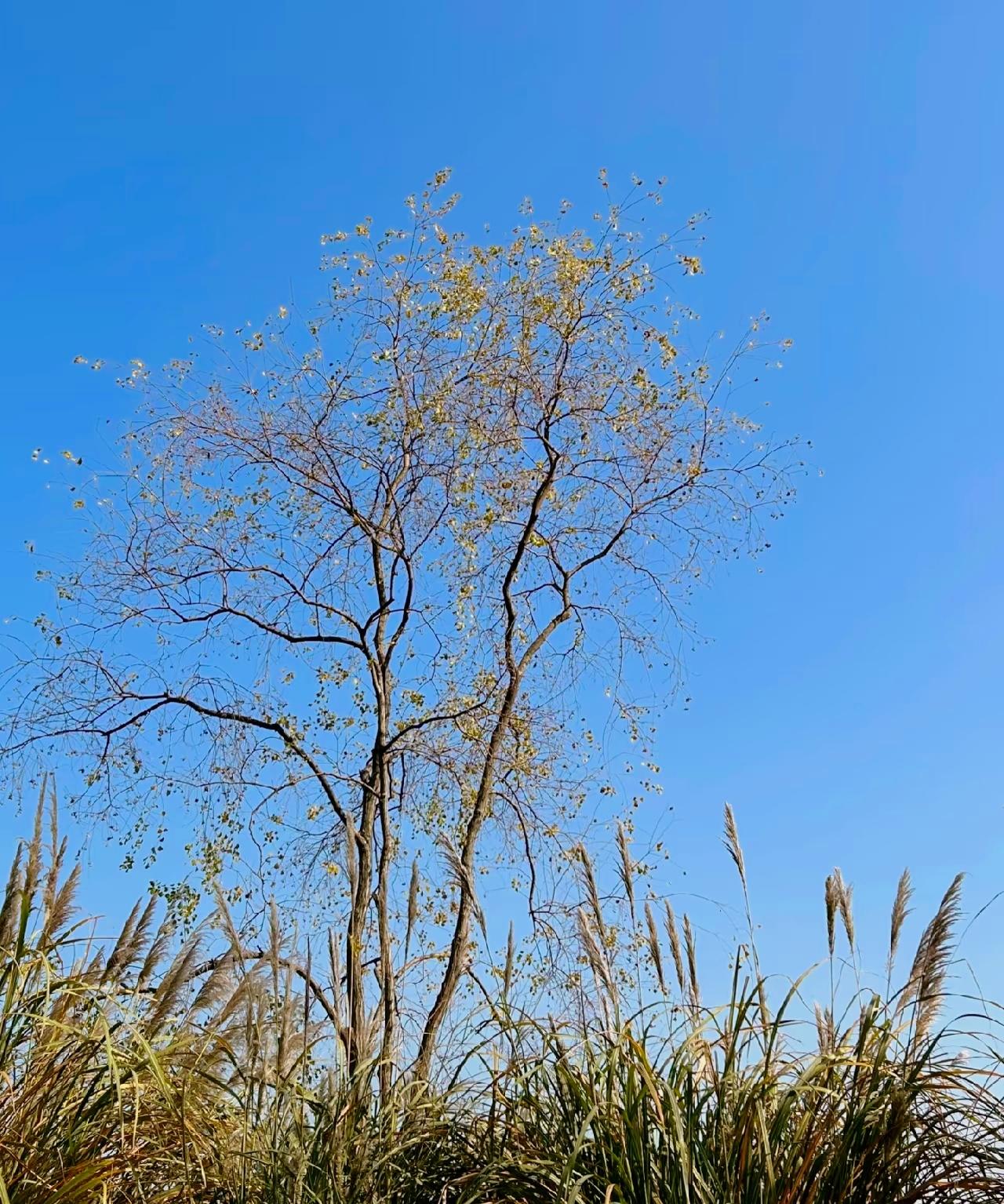 刘震云 ：）
你话多，说明你蠢；你话很多，说明你很蠢；说话只有三个目的，一是让别
