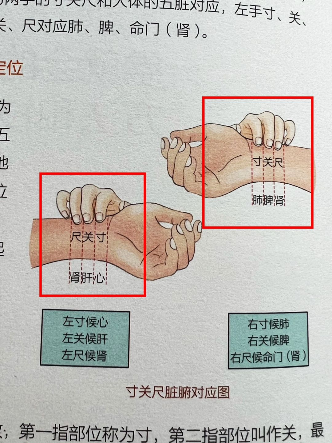 中医|一学就会的脉诊方法和技巧！