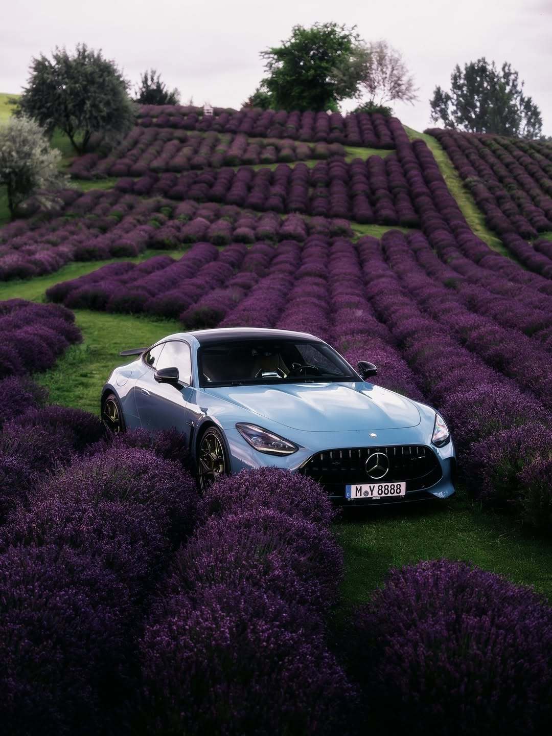 Mercedes-AMG GT ​​​