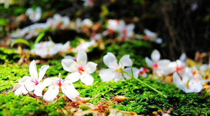 【水杨花论出轨的神逻辑】

水杨花每天表现得像个精神女人，疑心老头儿与其她女性有