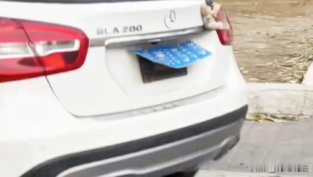 辽宁大连，蔡女士将车停在某批发场门前左侧3天，交警打电话让她挪车时，因为生病了就