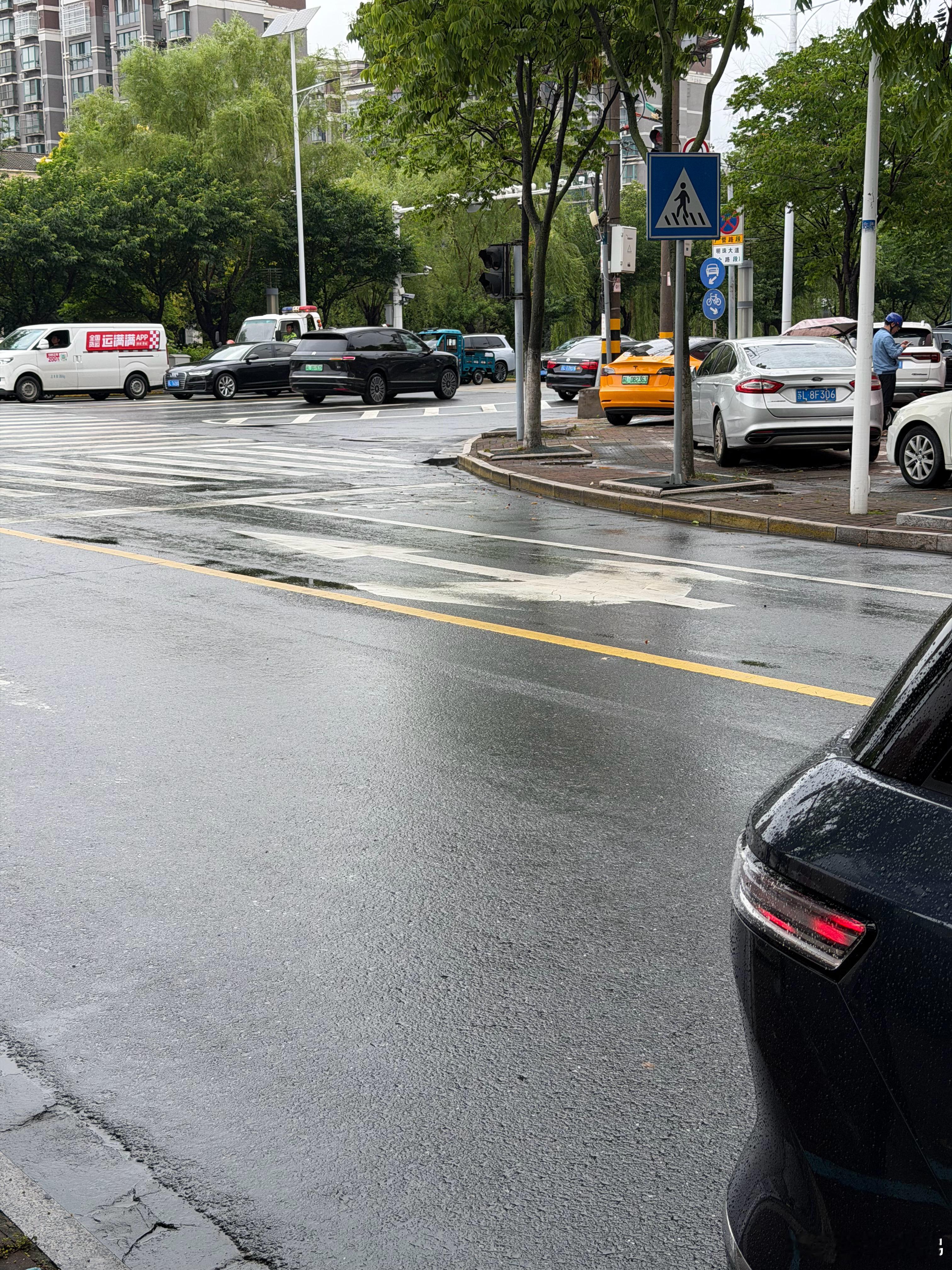 ES8交付11万台的爆款结果，就是街头随手就是双8同框，这就是买车的共识。电动兄