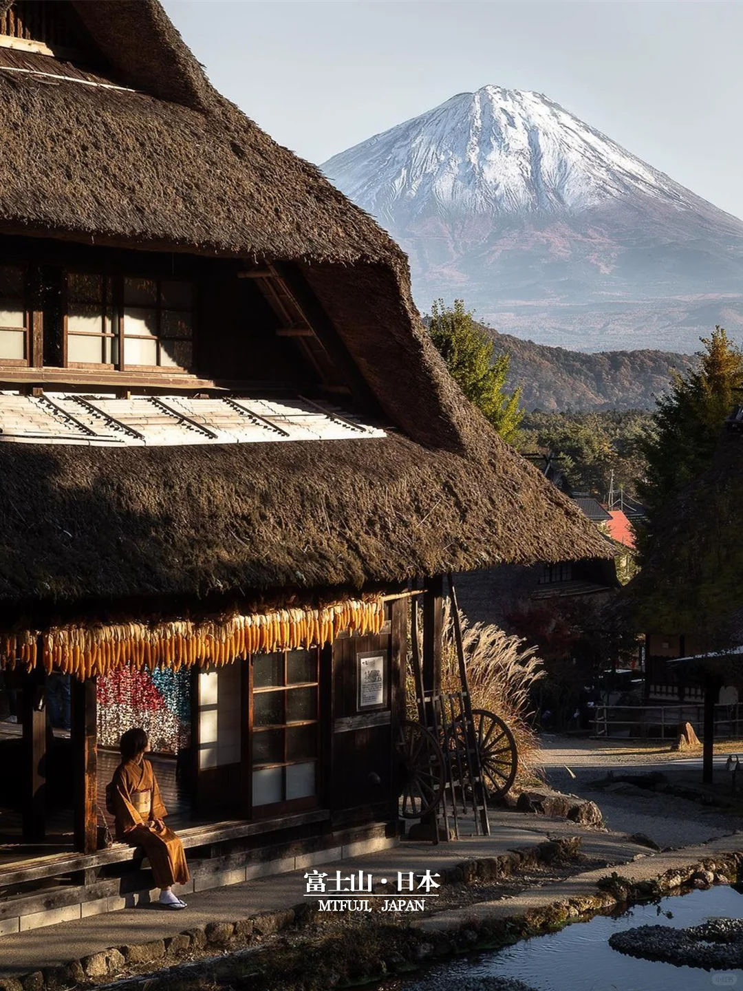 富士山红叶季🍁10处最美赏枫地合集✅