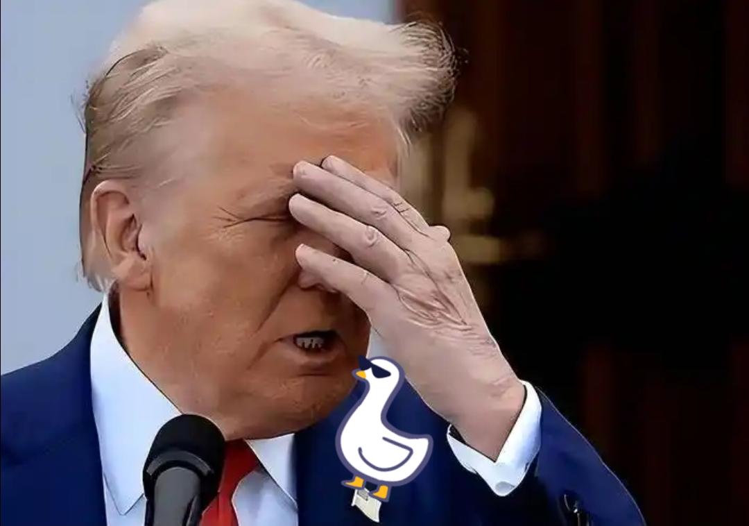 特朗普气急败坏！
护航喊得很响，实际上一艘都没护，盟友全在观望。

特朗普说要帮