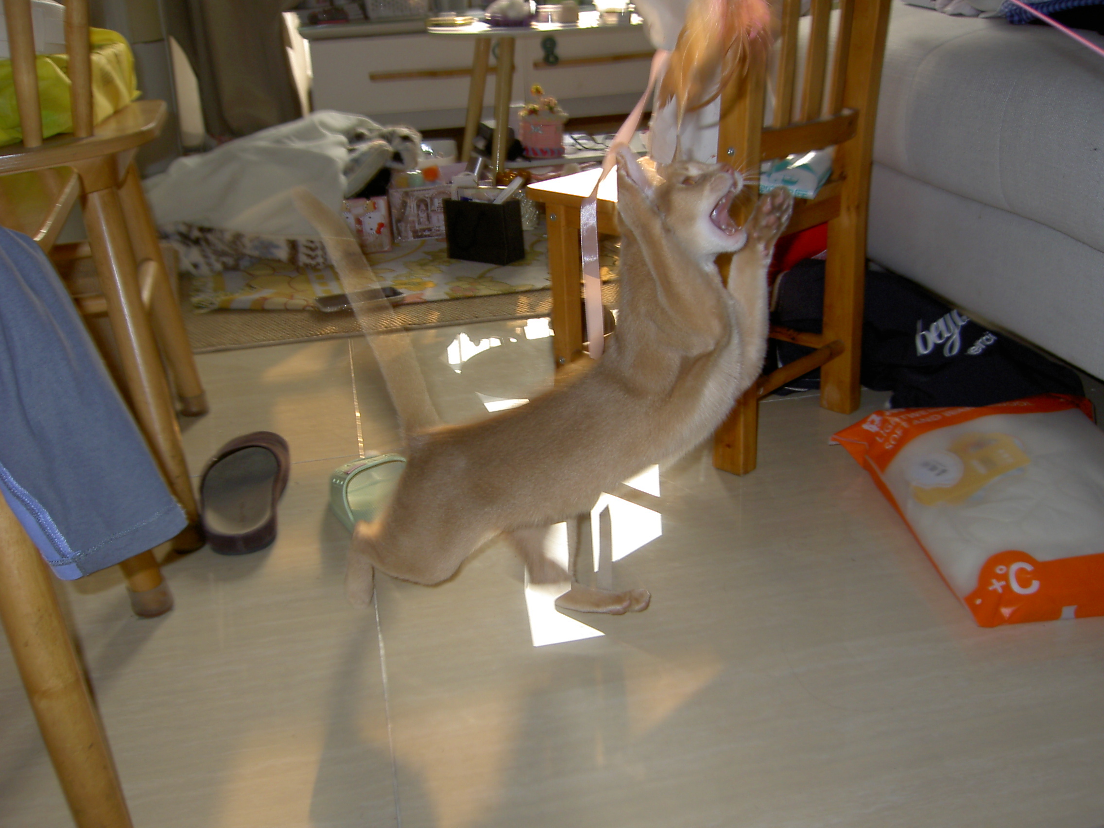 回归礼包抽15对发夹不过是不同花纹的一对  抽奖详情