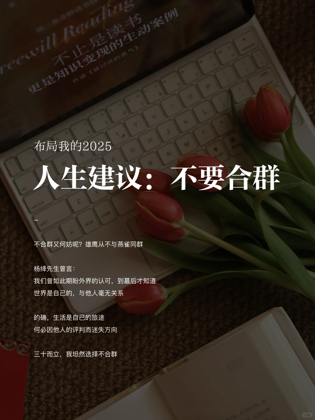 2025，做个不合群的中年少女。