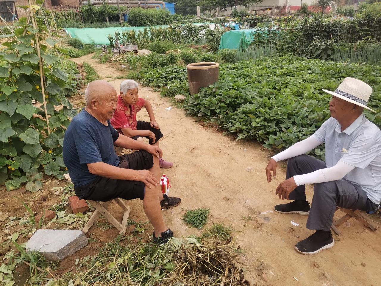 三个茄子两个苦瓜换了两瓶酒，76岁的老父亲笑的合不拢嘴，赚大发了。

早晨8：0