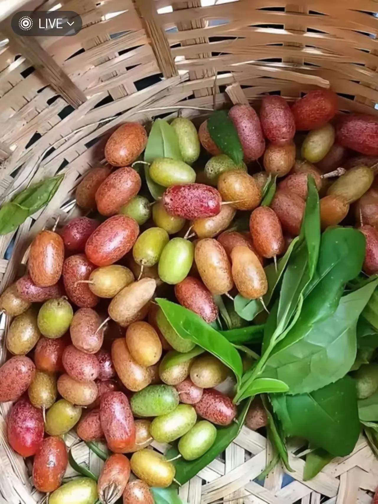 不是我吹！我敢说，大部分人都不知道这是什么果子，在城里有钱也不一定买得到，农村也