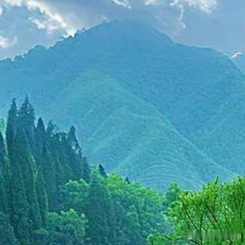 就像我数度走到海岸线的尽头再折返回来，生命的长度和宽度都不会发生变化，可是后来我