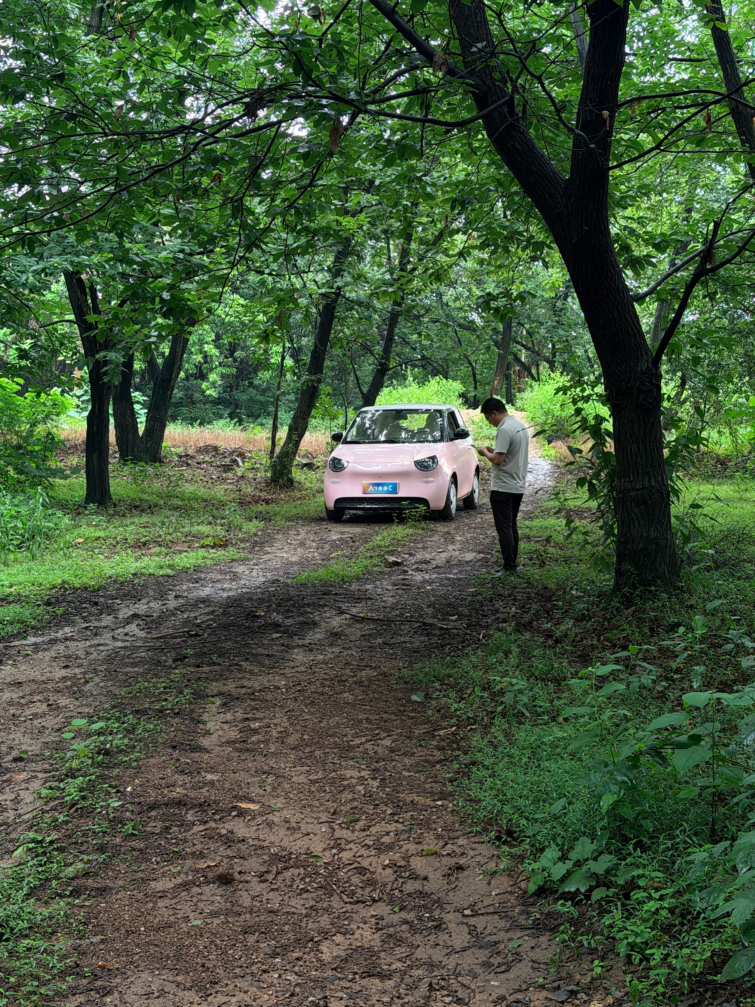 福特雨林越野公园 柳州·三门江国家森林公园
