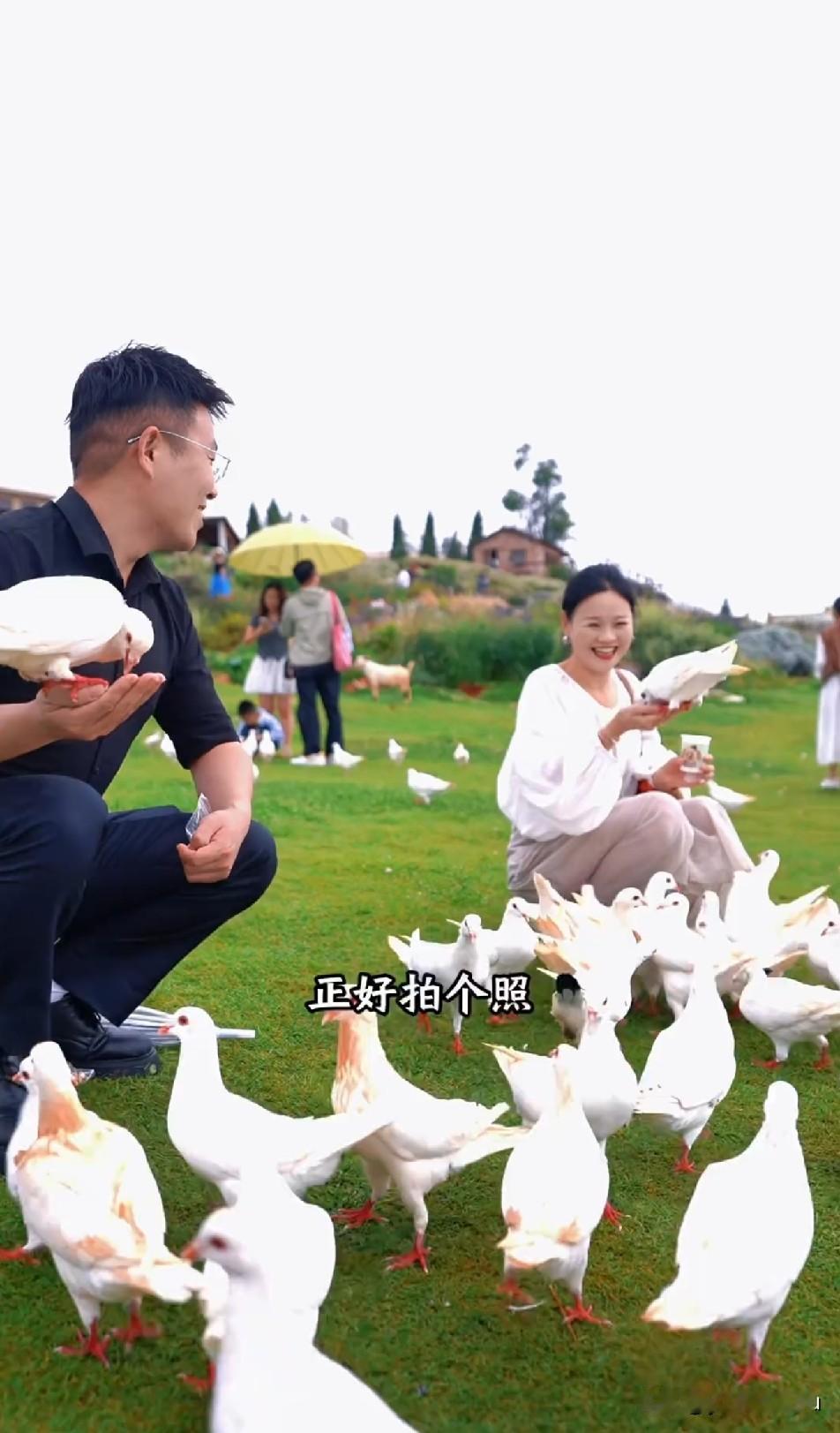 这样的画面很美，妙妙安静的喂鸽子，周敏发自内心的开心