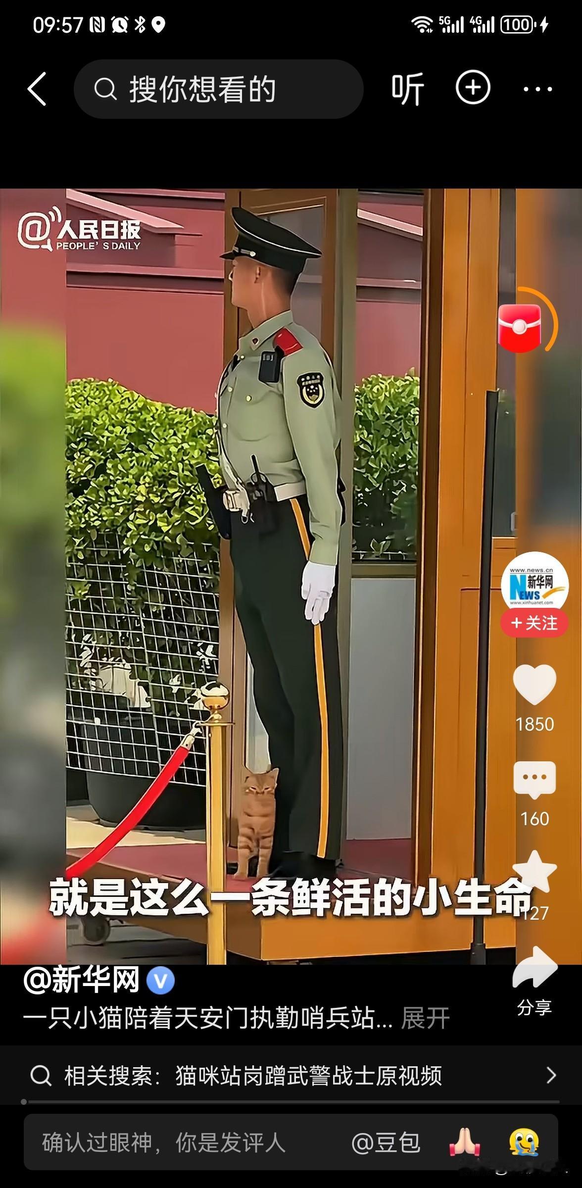 被小猫蹭蹭的天安门哨兵找到了
 
近日，一段小猫误入天安门执勤岗哨、陪武警哨兵“