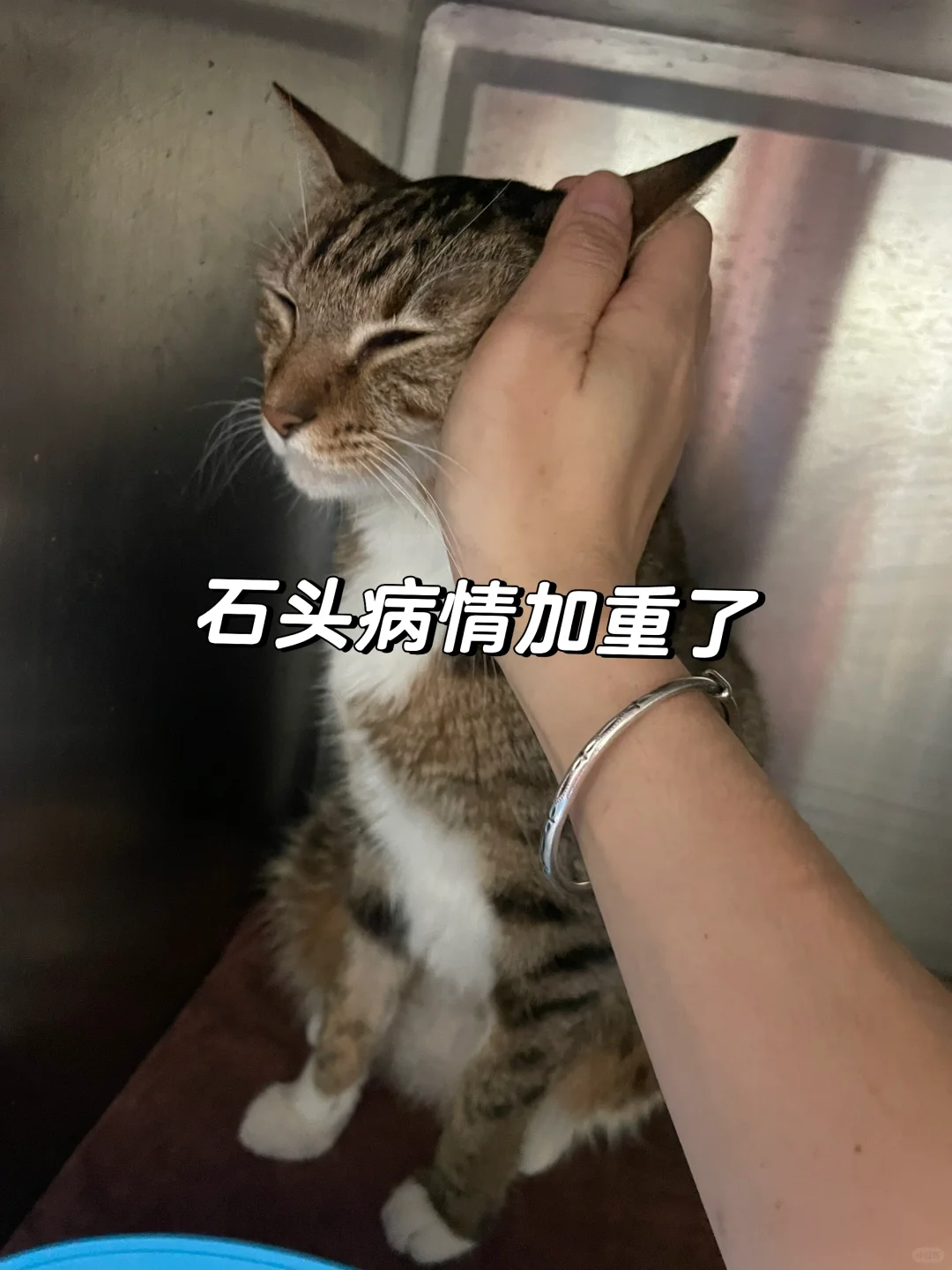 石头生命倒计时（7）