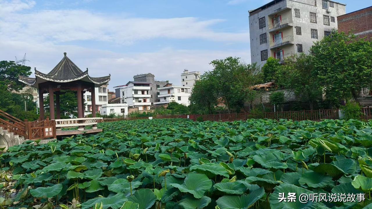 ❤️空想，不是终点。行动，才是关键。输，输在犹豫。赢，赢在执行。人生每一步，不在