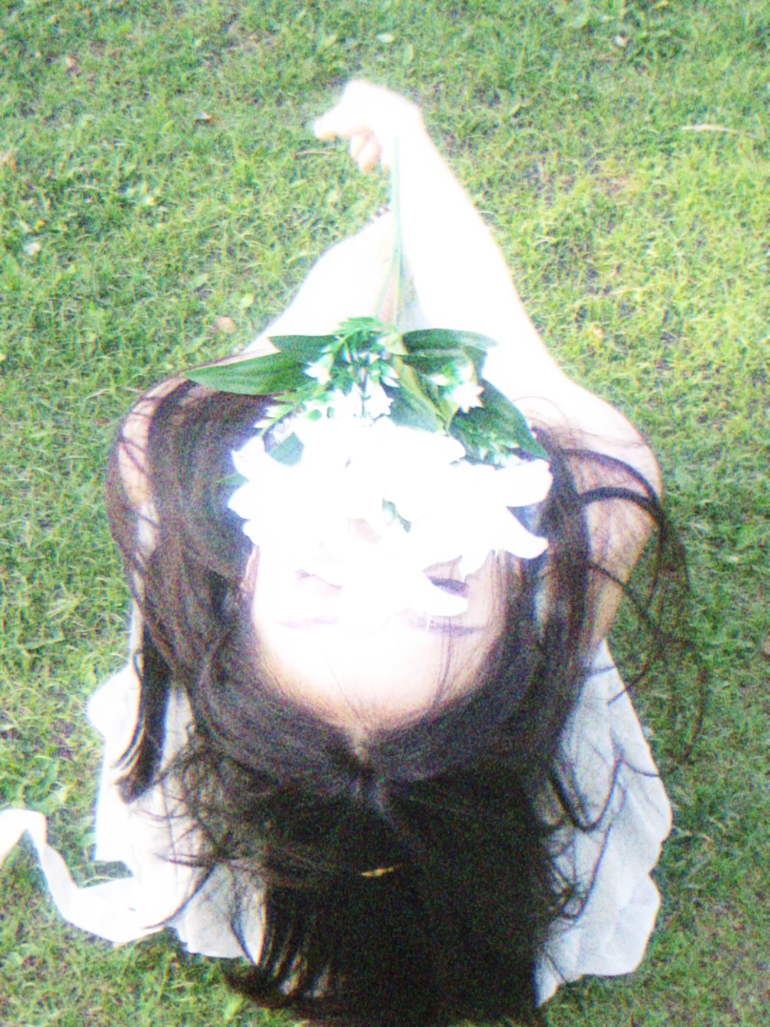 盛夏，爱我的人流泪，我爱的人枯萎