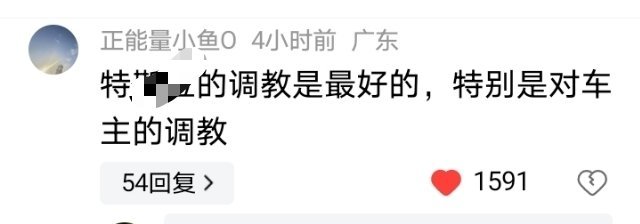 得佩服人家外国人的逆向思维能力，智驾这个赛道卷不过，可以卷殖驾啊，中国最不缺的就