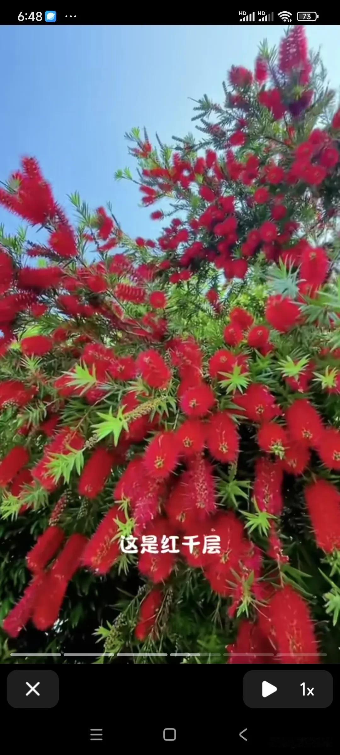 这都是什么脑回路，要礼物和要财产能一样吗？

钱家的君君十岁生日宴上，姚先生给了