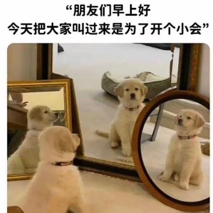 早安，汪汪队！（起床）（戴上漂亮领结）（照镜子欣赏）（见面贴贴）（摇尾巴）（来回