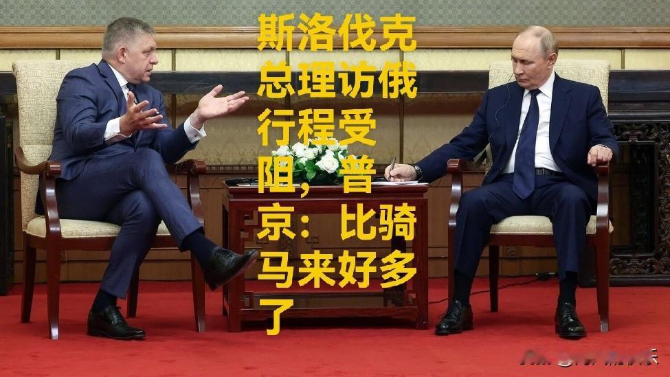 斯洛伐克总理访俄行程受阻，普京：比骑马来好多了

   据外媒报道由于欧洲多国拒