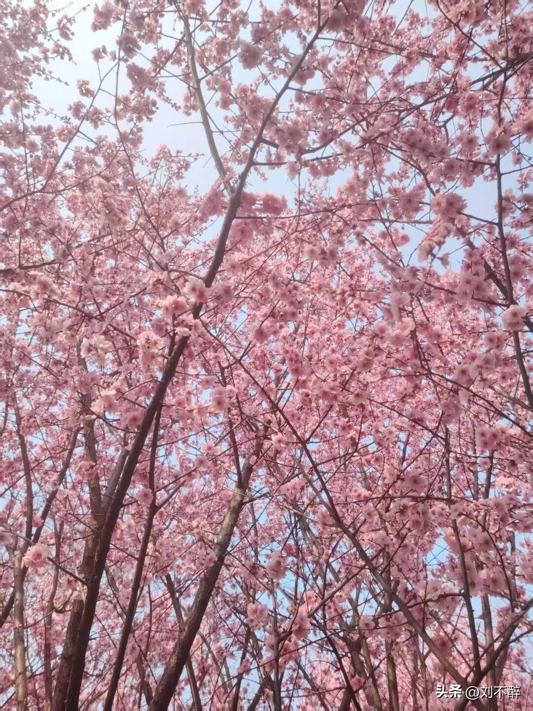 别再盯着别人的成绩眼红，别再抱怨平台不公、流量偏心。
你看到的每一篇爆款，
都是