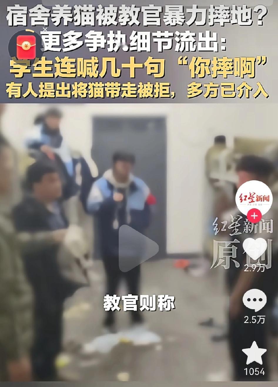 湖南湘西教官摔猫事件，不得不说，这个教官太不冷静了。
我也讨厌这类养猫的，把猫带