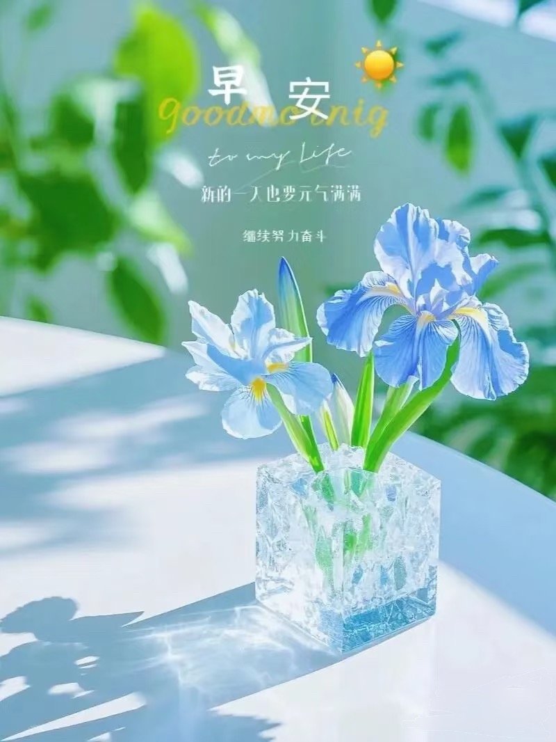 🌵🍒²º²⁶/₀₈.₂₇ ღº ✐ 🔆 ᴹᴼᴿᴺᴵᴺᴳ🌷无数个绚烂的憧憬