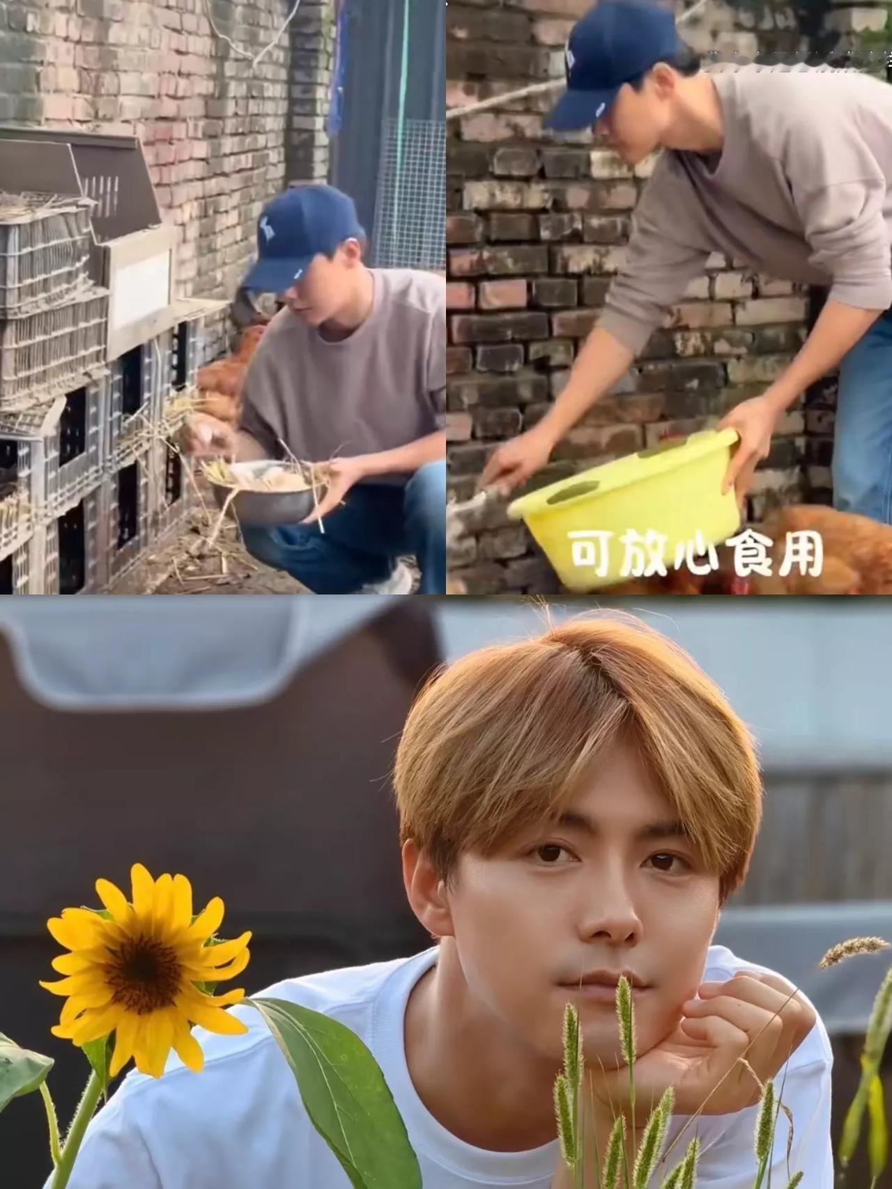 我敢打包票
马天宇不进组而去养鸡
不是因为害怕遇到小人，也不是为了赚钱而是
因为