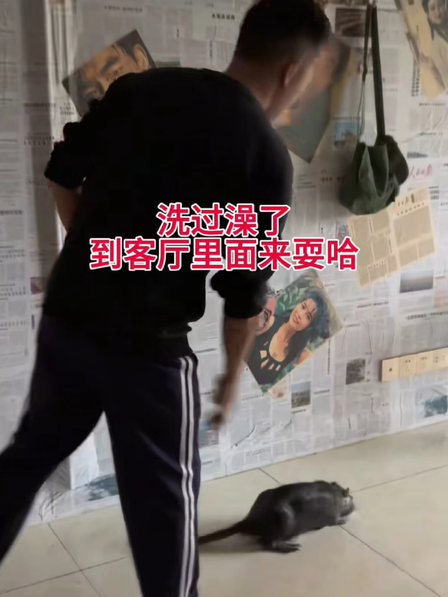 怪不得一只耳要到南方找舅舅