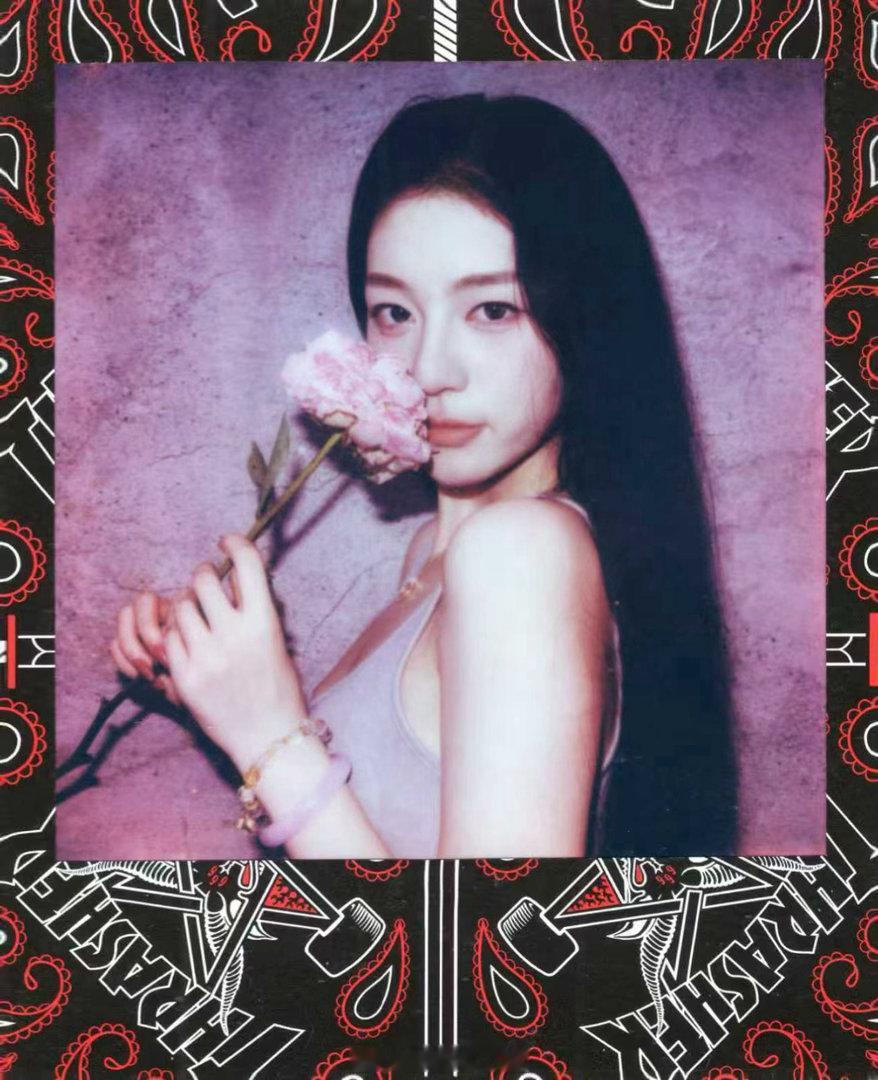 好爱我的宝丽来