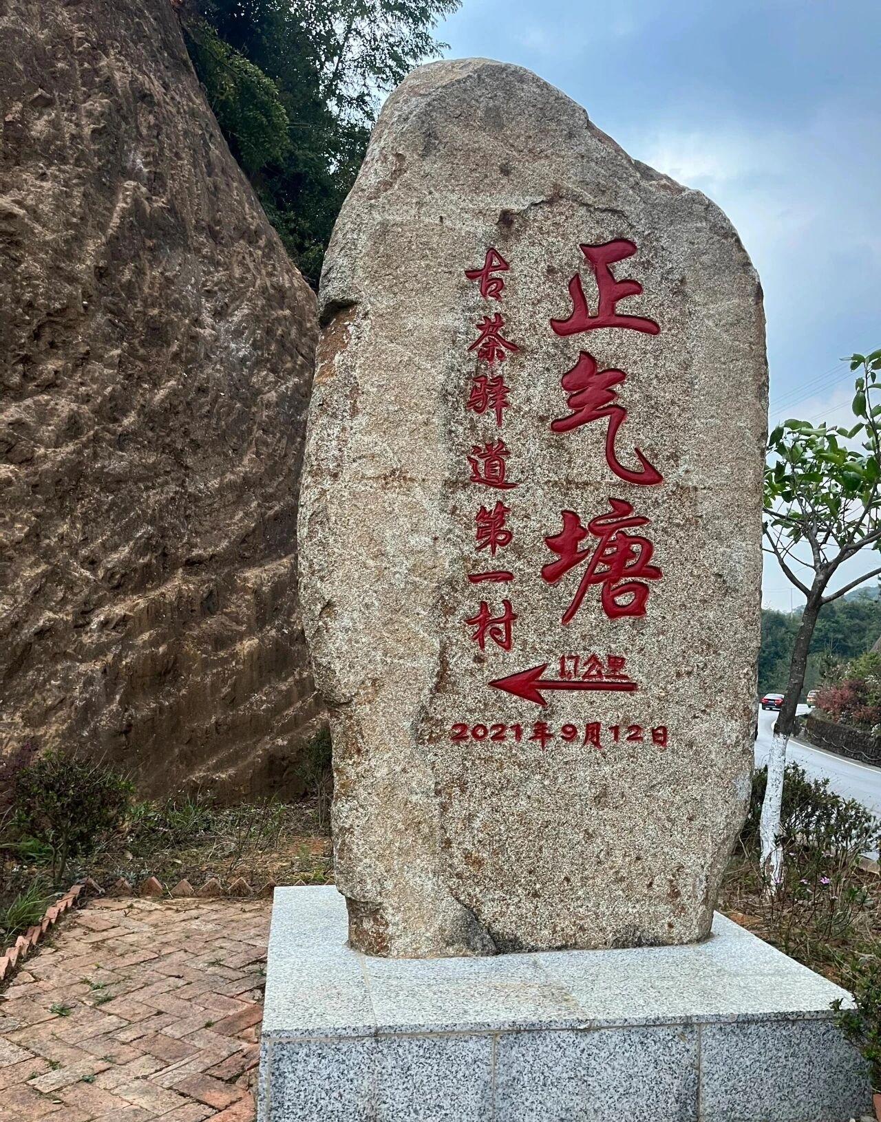 正气塘2026年春茶一身正气👌堂堂正正