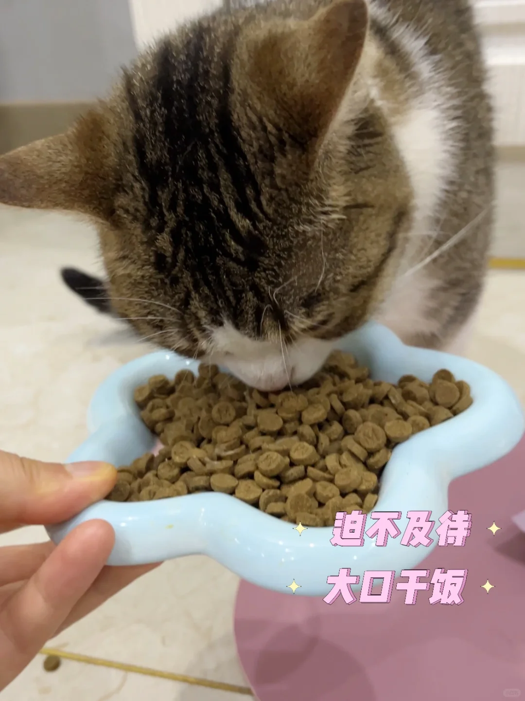 ee们快看，我算逆袭成功了吗？