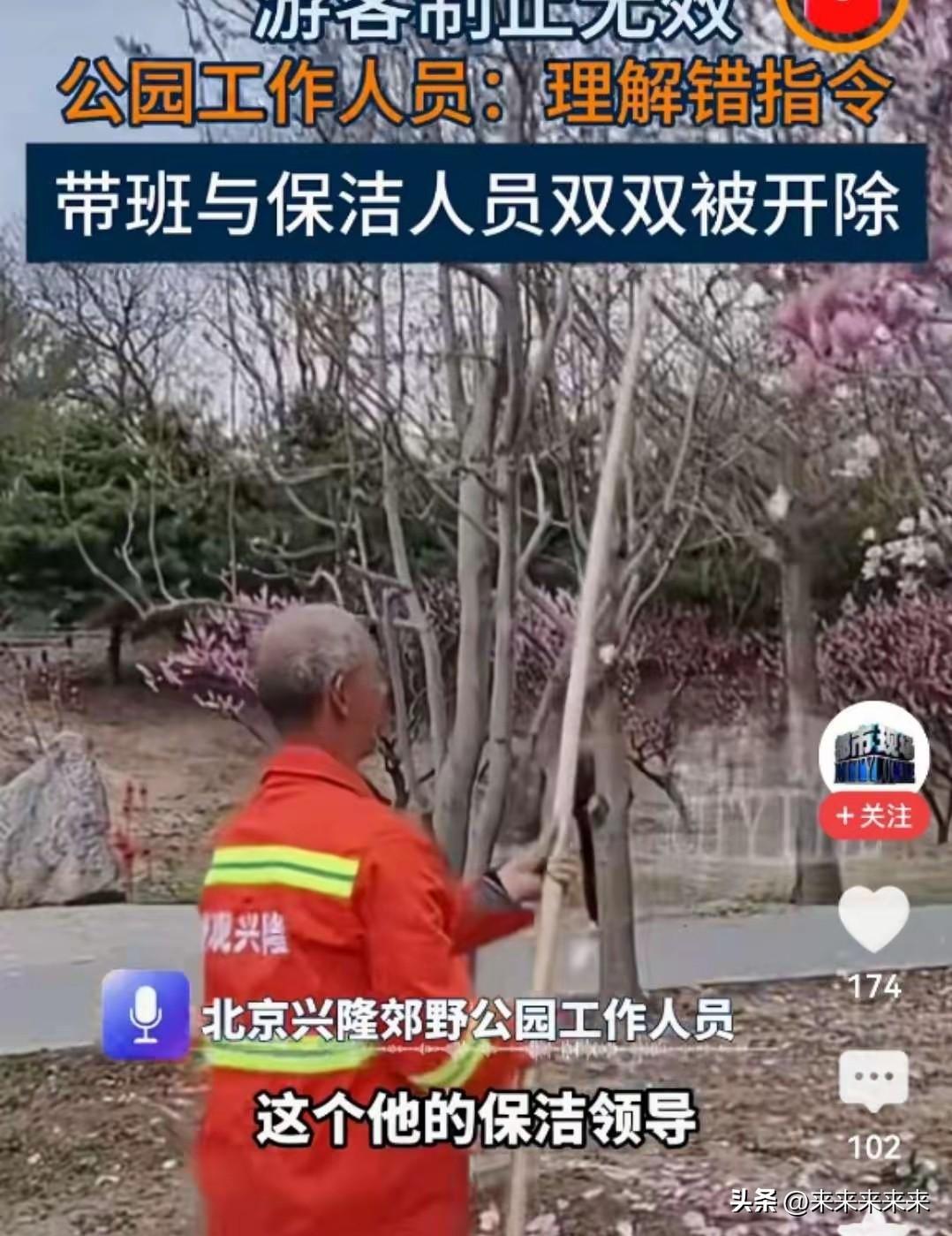 北京公园打花事件后续：保洁老人被开除，甩锅式处理难平众怒
 
3月29日，北京兴