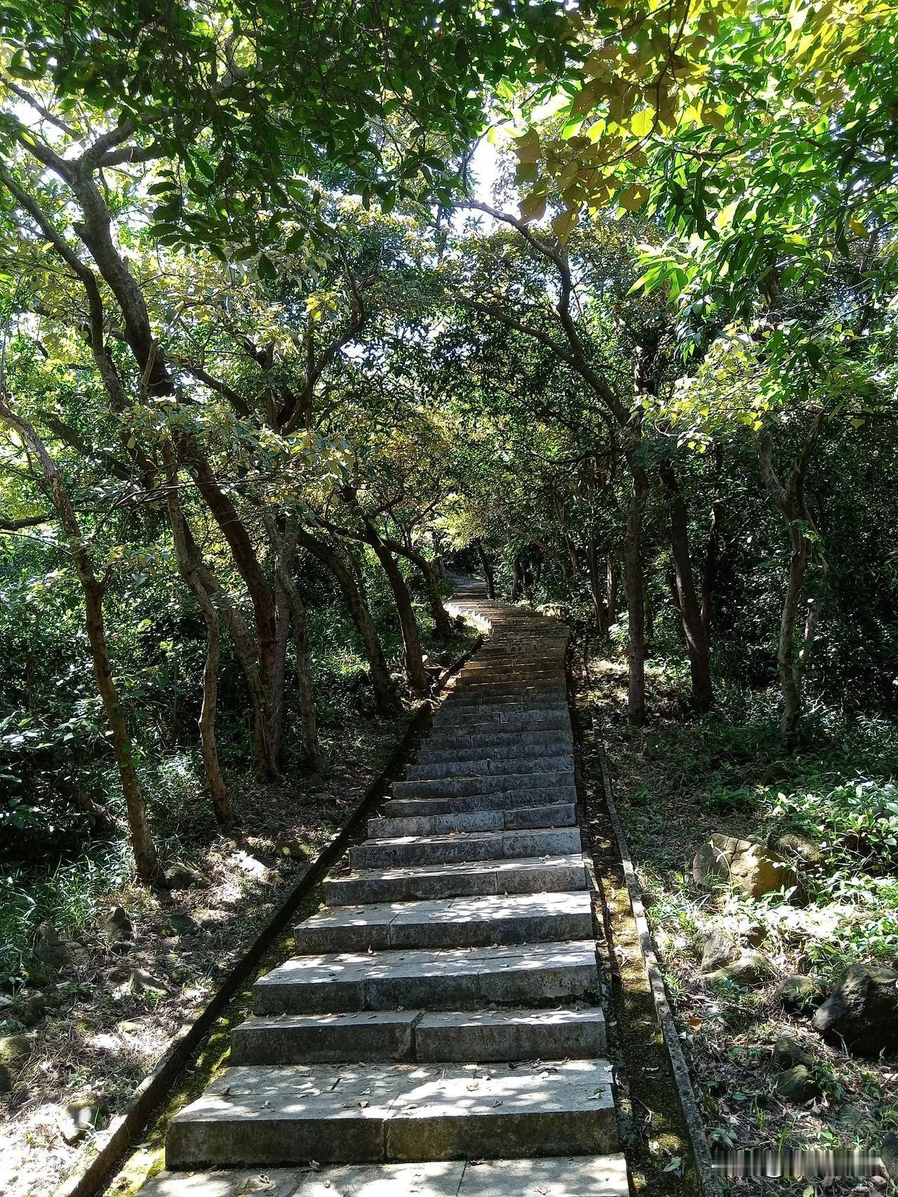 翻过了一座山，居然还有一座山，只是为了一睹南沙的风采。结果，爬了老半天，水都喝完