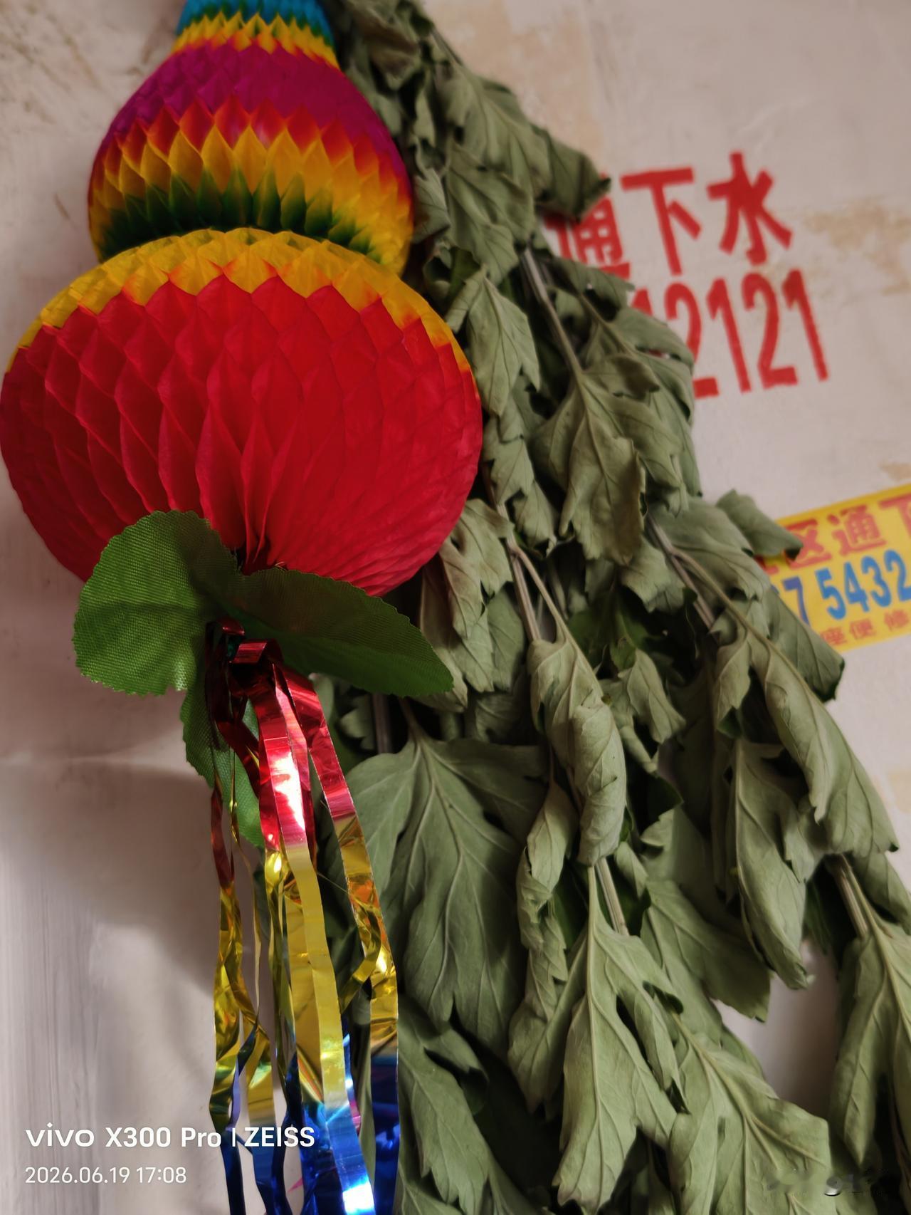 2026端午节门旁挂艾蒿。
是祈福纳祥的传统，寄托了驱邪消灾，阖家平安的美好期盼