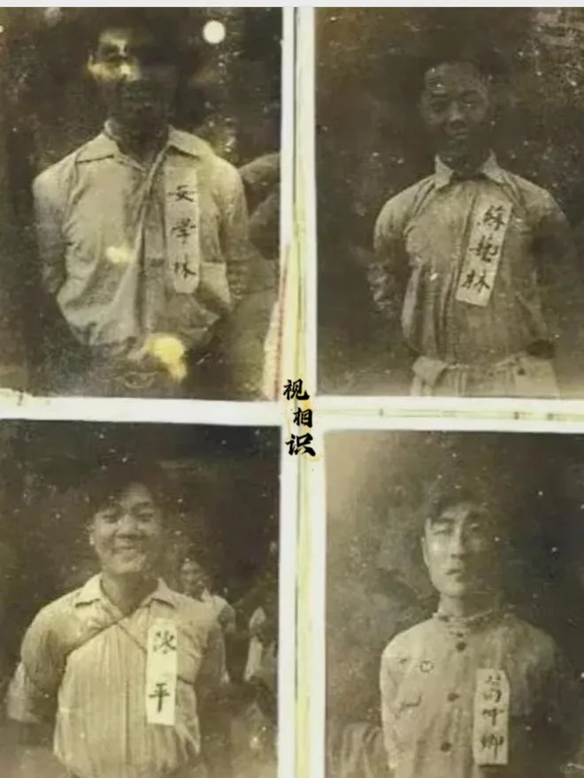 1950年的台北刑场，安学林、苏艺林、陈平、葛仲卿四位烈士英勇就义前，留下的最后...